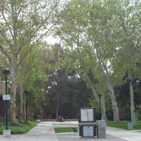 College of the Canyons image 7