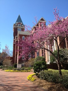 Georgia Institute of Technology image 1